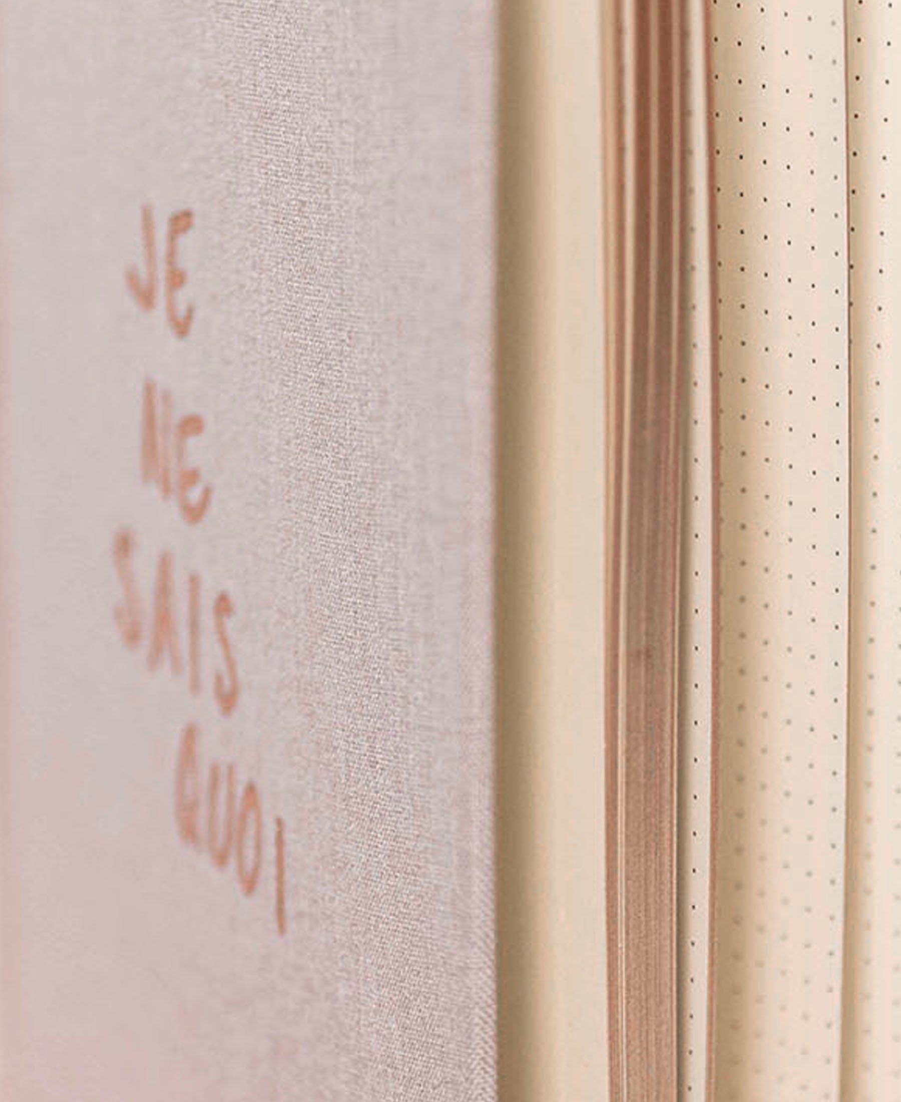 Close-up of the Plein Publique natural notebook with dotted cream pages and visible cover text.