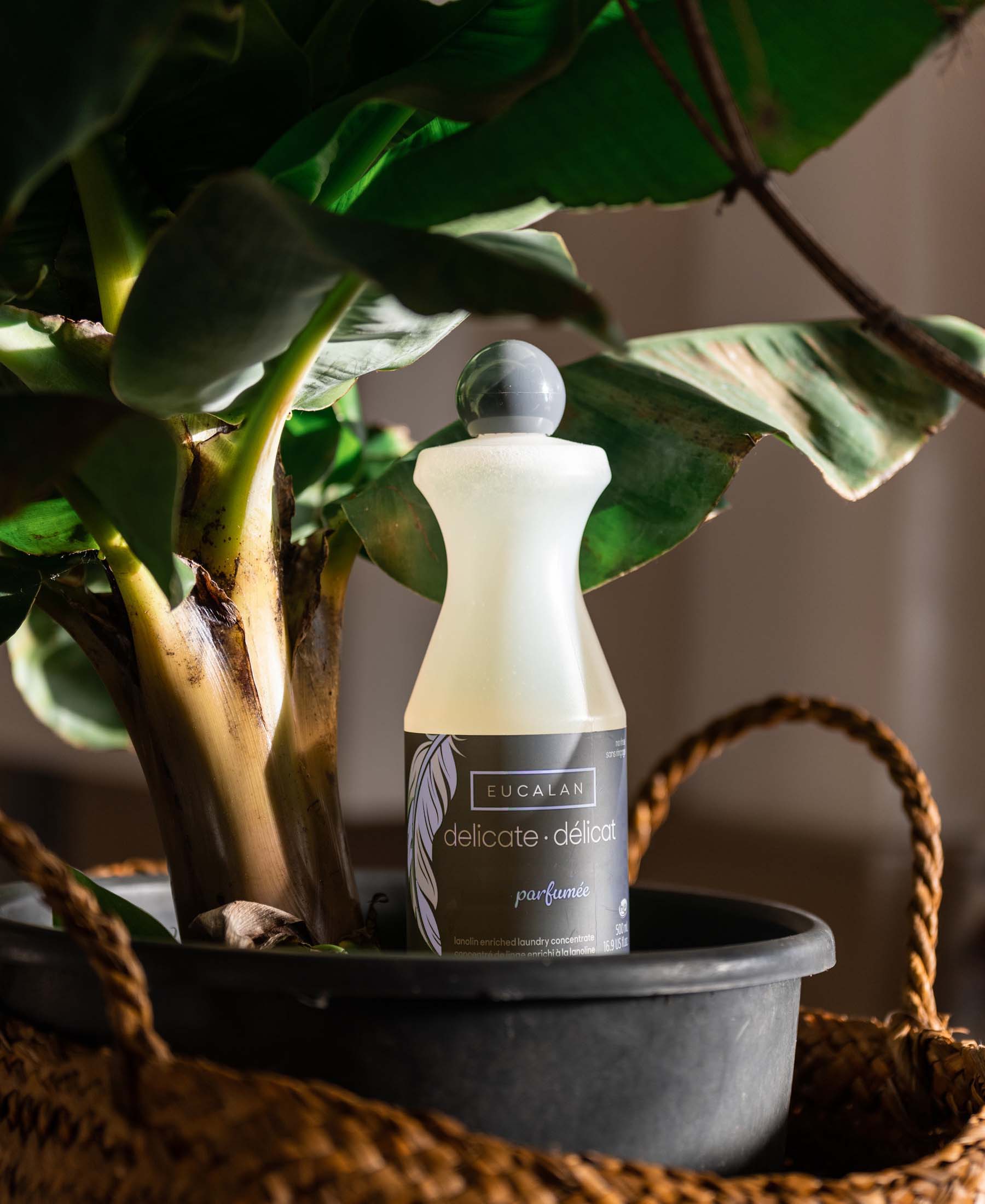 A bottle of Eucalan Lavender Laundry Wash by Plein Publique.