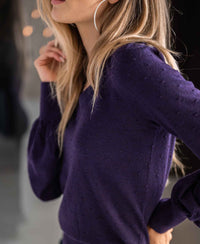 Dark violet merino wool V-neck sweater from PLEIN PUBLIQUE LA VICTORIA, shown indoors.