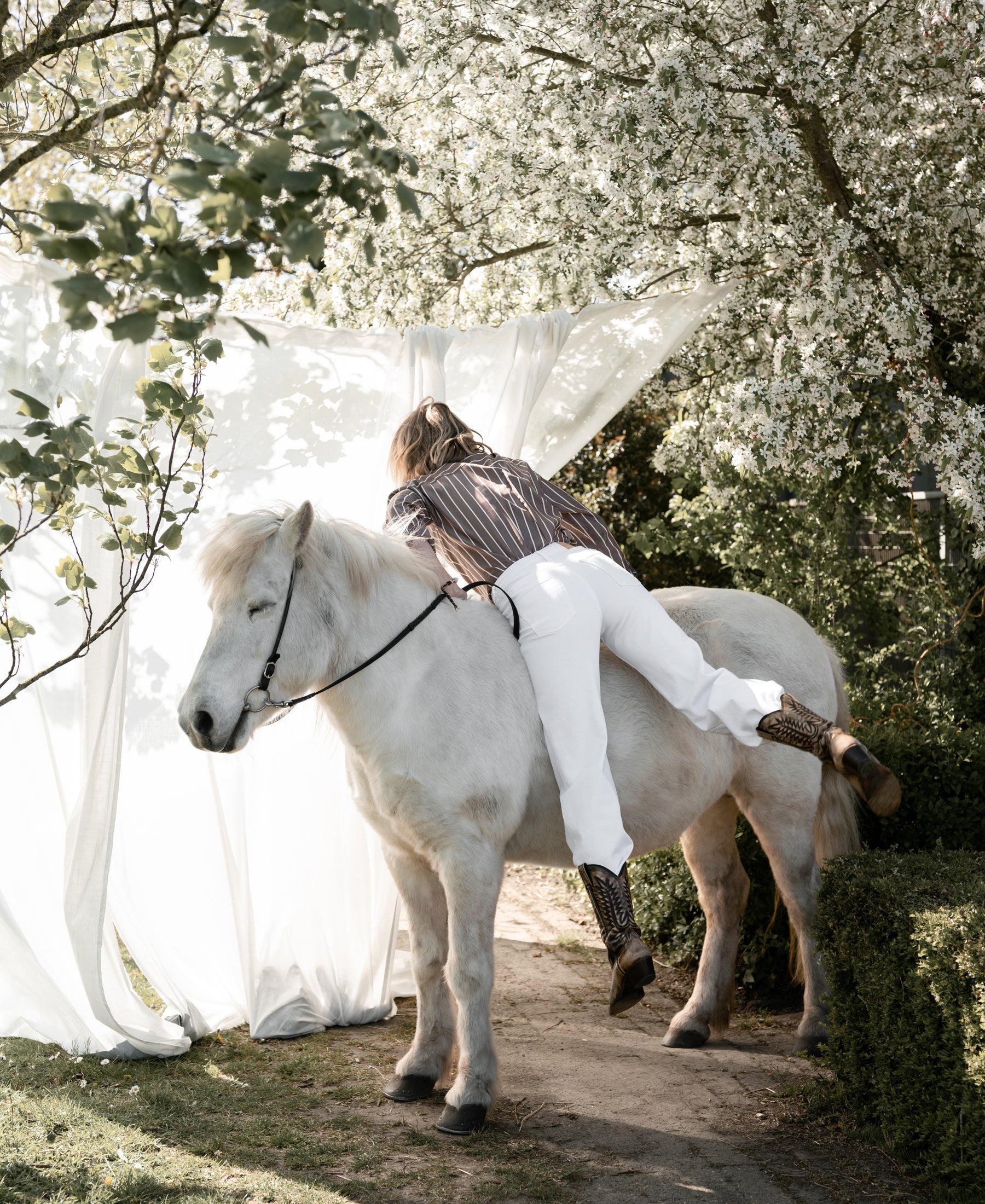 A person climbs onto a white horse outdoors wearing a Plein Publique La Pascale striped blouse.