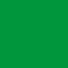 A solid green rectangle covers the entire image, with no patterns, objects, or text visible.