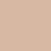 Solid light beige color with no patterns or objects.
