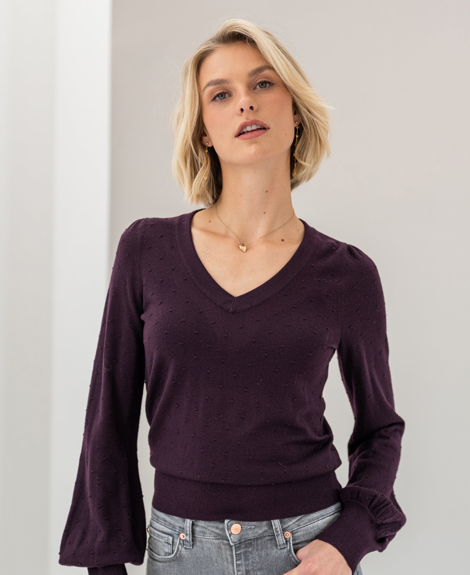 PLEIN PUBLIQUE Merino wool V-neck sweater in aubergine.
